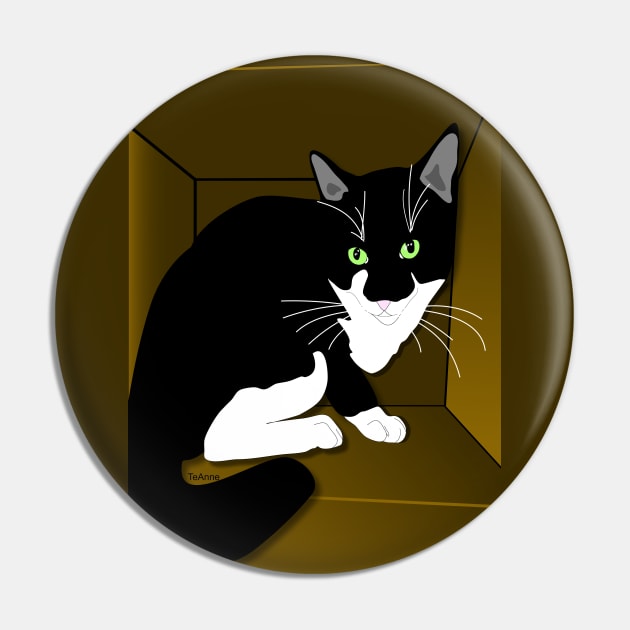 Cute Tuxedo Cat Cat in a box Copyright TeAnne Pin by TeAnne