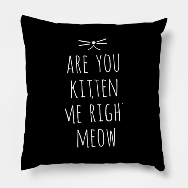 Are You Kitten Me Right Meow Pillow by szymonnowotny8