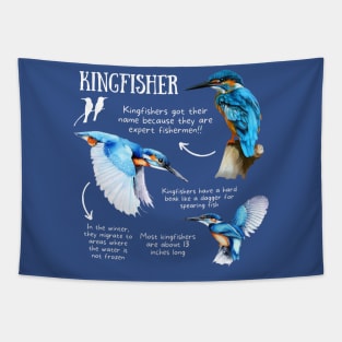 Animal Facts - Kingfisher Tapestry