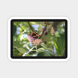 Red Admiral Magnet