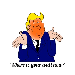 Where is your wall now? T-Shirt