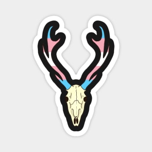 Transgender Pride Deer Skull Magnet