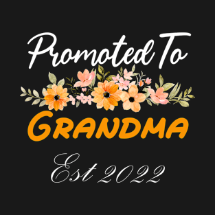 Promoted To Grandma 2022 T-Shirt