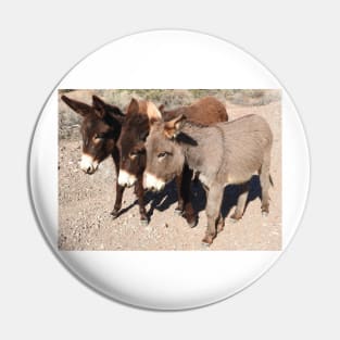 Wild burros, donkeys, wildlife, Wild Burro Buddies Pin