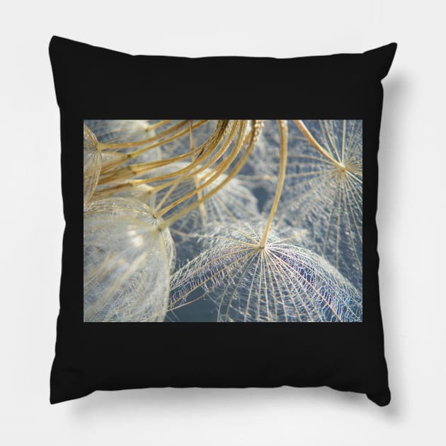 delicate Pillow by LaurieMinor