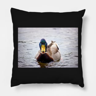 Duck Call Pillow