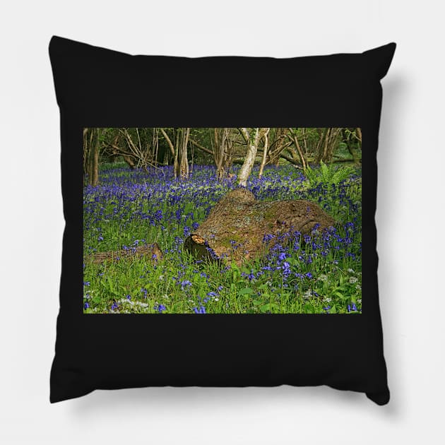 Bluebell Wood Pillow by RedHillDigital