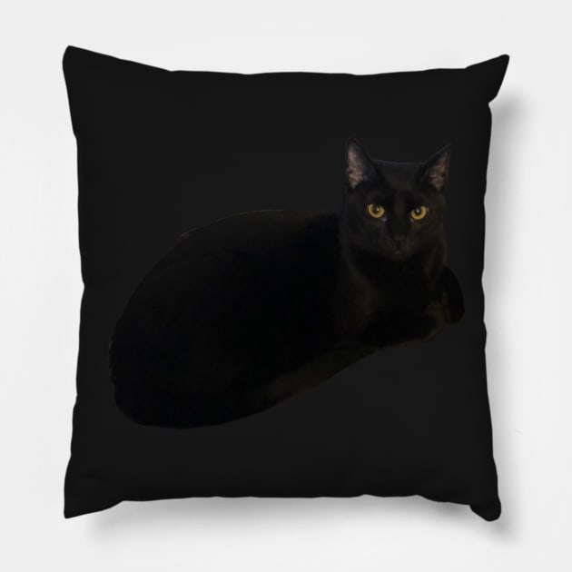 Black Cat Loaf Pillow by whizz0