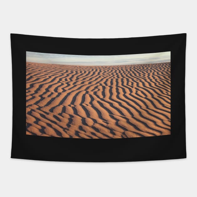 Dunes at Sunrise, Lake Mungo Tapestry by Carole-Anne