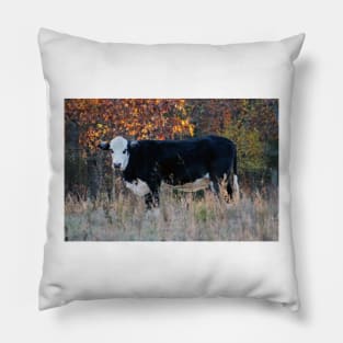 Cow In The Meadow Pillow