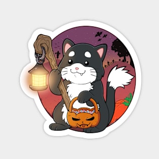 Halloween trick or treat cat Magnet