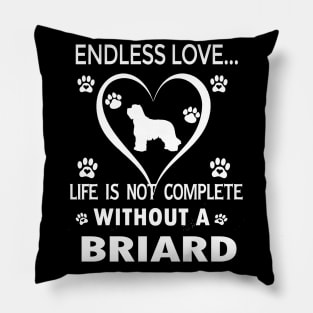 Briard Lovers Pillow