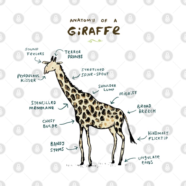 Anatomy of a Giraffe by Sophie Corrigan