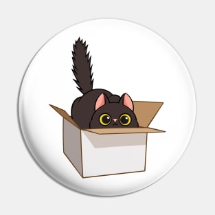 Cat in the box Pin