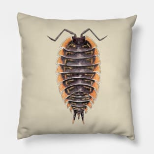 Trachelipus caucasus Isopod Pillow