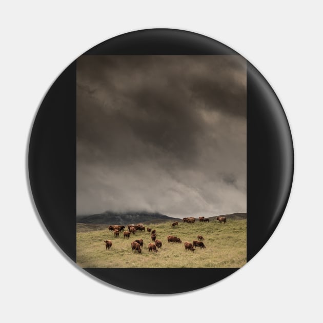 'The Coos, The Clouds and The Clegs', Monzie, Blair Atholl, near Pitlochry. Pin by mucklepawprint