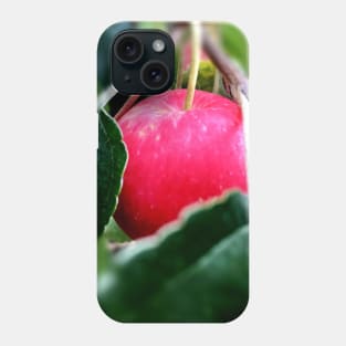 Crabapple Phone Case