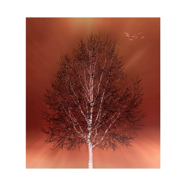 Fiery Winter Tree by JimDeFazioPhotography