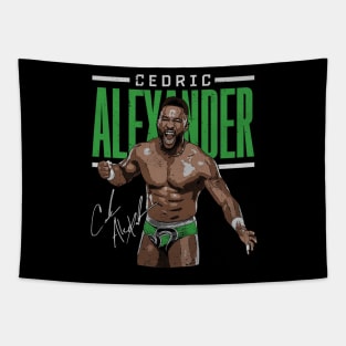 Cedric Alexander Scream Tapestry