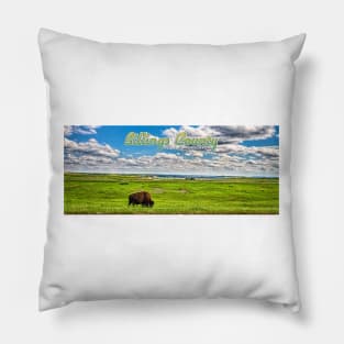 American Bison Grazing Billings County North Dakota Pillow