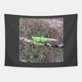 Grasshopper Tapestry