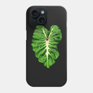 COLOCASIA WHITE LAVA Phone Case