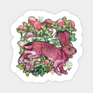 Red Clover Hare Magnet