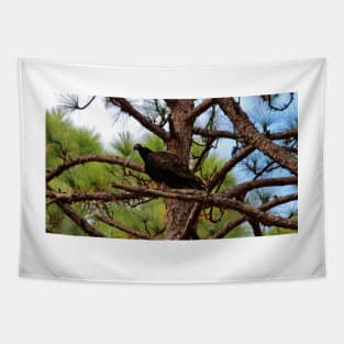 Turkey Vulture Tapestry