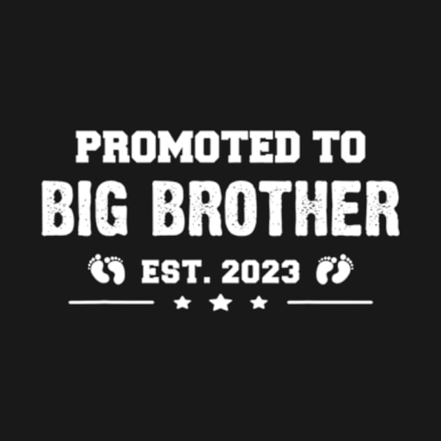 Finally Promoted To Big Brother 2023 by cloutmantahnee