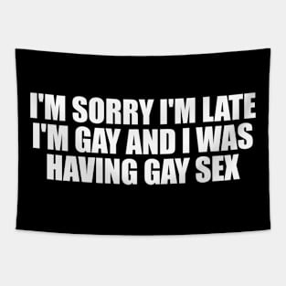 I'm sorry I'm late, I'm gay and I was having gay sex Tapestry