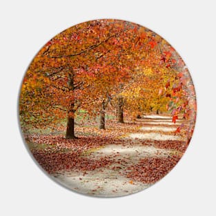 Autumn Pathway2 Pin