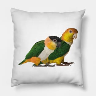 Caiques Pillow