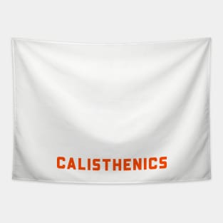 Made In Calisthenics Home Workout Fitness Tapestry