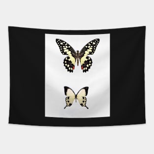 WHITE BUTTERFLY BUTTERFLIES PRINT BOTANICAL Tapestry