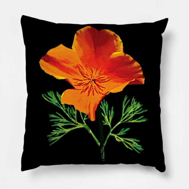 Orange California Poppy Pillow by SusanSavad