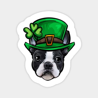 St Patricks Day Boston Terrier Magnet