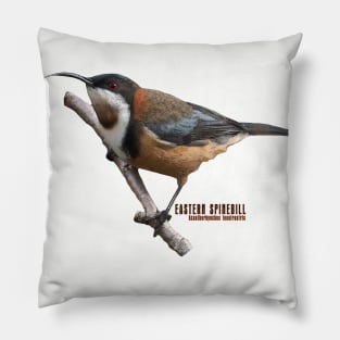 Eastern Spinebill Pillow