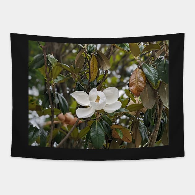 Magnolia Bloom 3 Tapestry by AustaArt