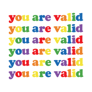 You Are Valid - LGBTQ Pride T-Shirt