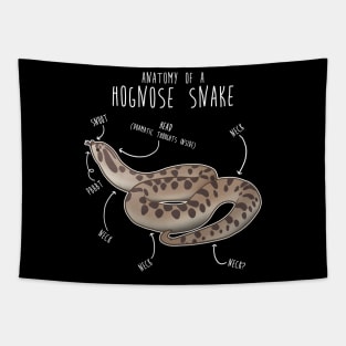 Conda Hognose Snake Anatomy Anaconda Tapestry