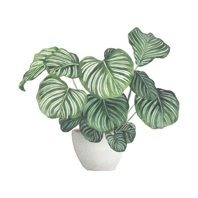 Potted Calathea Plant by Gush Art Studio 1