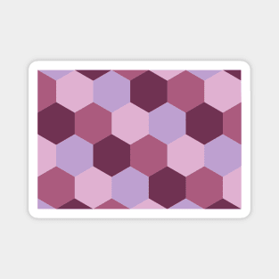 Pink and purple shades, hexagon geometric pattern Magnet