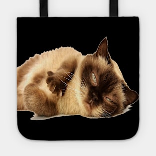 Sleepy cat Tote