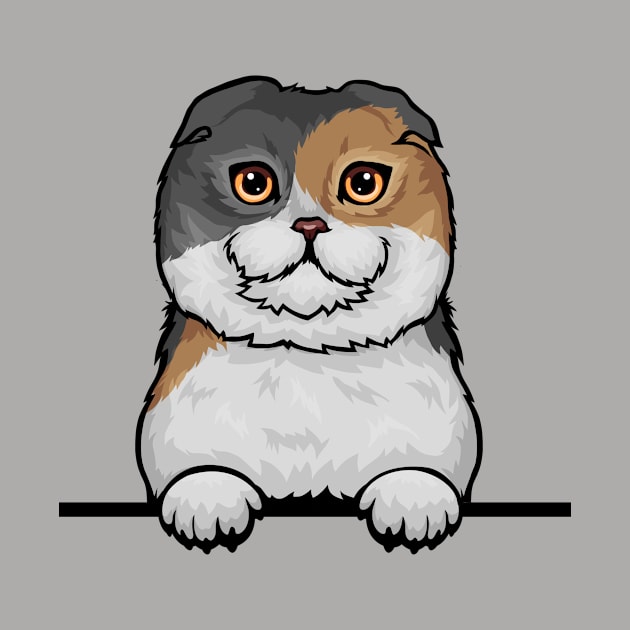 Scottish Fold Cat by mankjchi