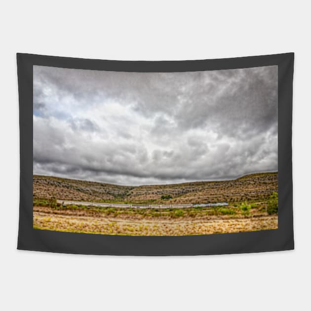 Amtrak Sunset Limited Tapestry by Gestalt Imagery