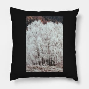 'Heavy Winter Frost on Silver Birch Trees', at Strathtummel, near Pitlochry. Pillow