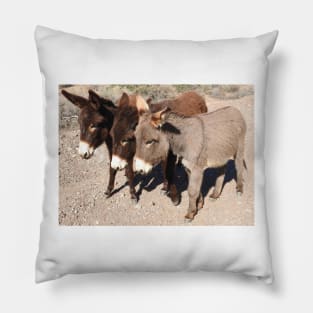 Wild burros, donkeys, wildlife, Wild Burro Buddies Pillow