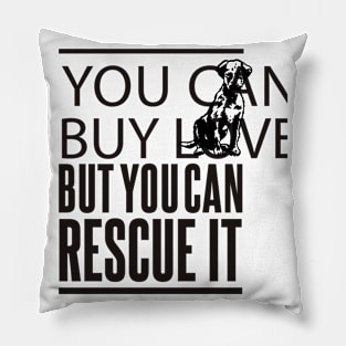 Cant Buy Love But Can Pillow