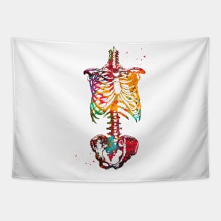 Skeleton Torso Tapestry