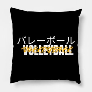 Volleyball Pillow